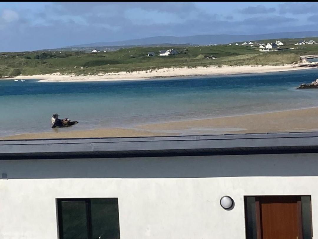 Ostan Gweedore Deluxe Apartments 布恩贝格 外观 照片